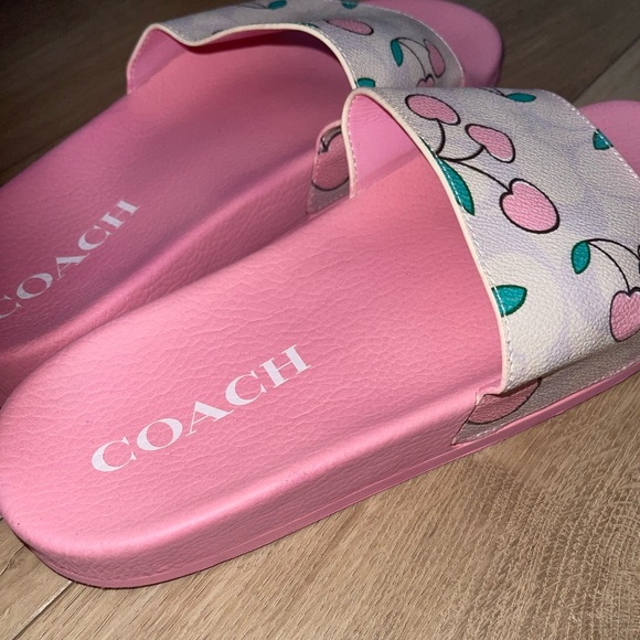 COACH purse and slides - Picture 1 of 6